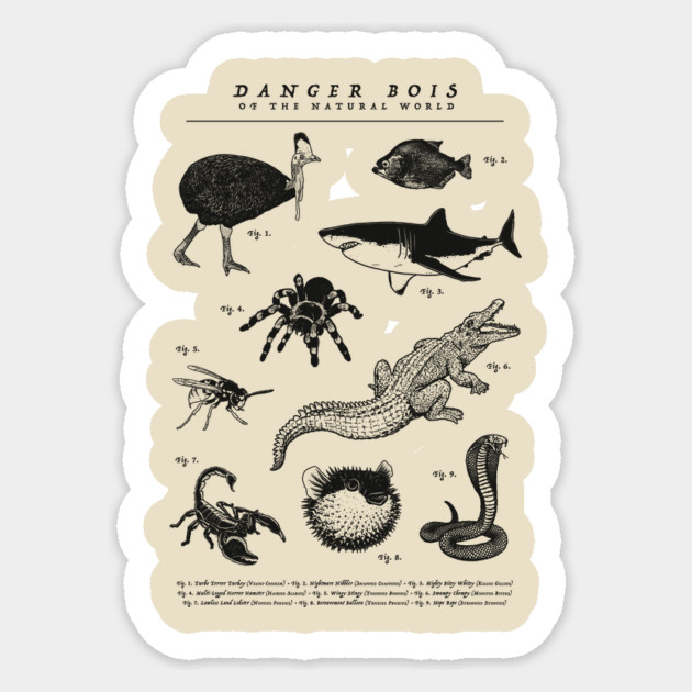 Danger Bois Of The Natural World Sticker by dumbshirts
