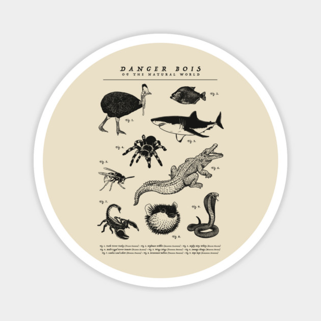 Danger Bois Of The Natural World Magnet by dumbshirts