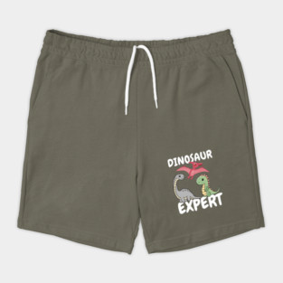 Dinosaur Lover Expert Shorts