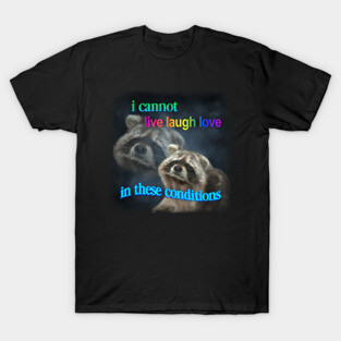I cannot live laugh love in these conditions raccoon meme T-Shirt