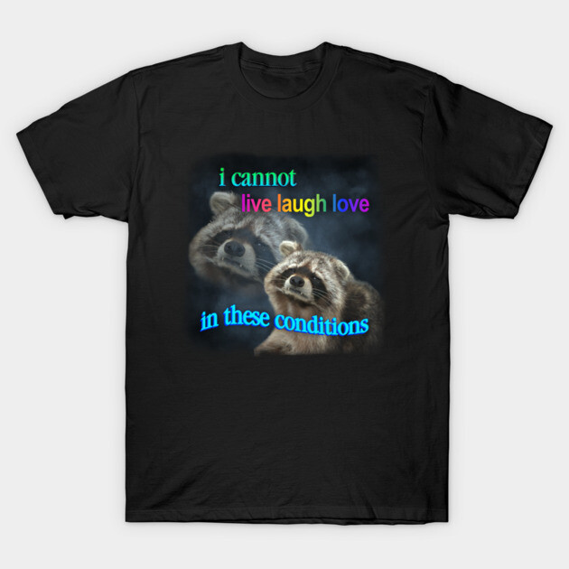 I cannot live laugh love in these conditions raccoon meme T-Shirt