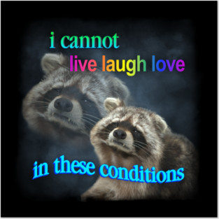 I cannot live laugh love in these conditions raccoon meme Posters and Art