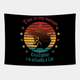 This is my human costume. I'm actually a Cat Tapestry