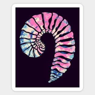 Ram Horn or Human Skull? Magnet