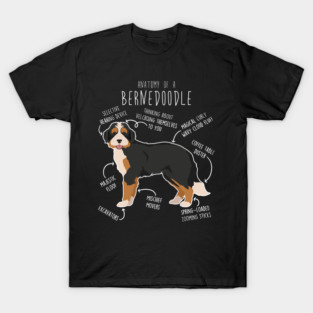 Bernedoodle Dog Anatomy T-Shirt