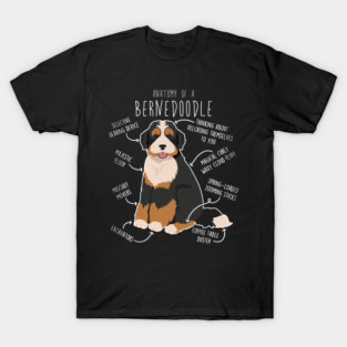 Bernedoodle Dog Anatomy T-Shirt