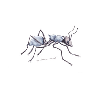Ant T-Shirt