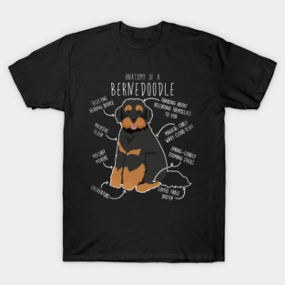 Black Phantom Bernedoodle Dog Anatomy T-Shirt