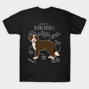 Bernedoodle Chocolate Bicolor Dog Anatomy T-Shirt