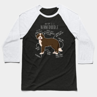 Bernedoodle Chocolate Bicolor Dog Anatomy Baseball T-Shirt