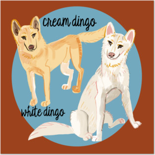 White and cream dingoes Posters and Art