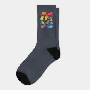 Rainbow Capibara Socks
