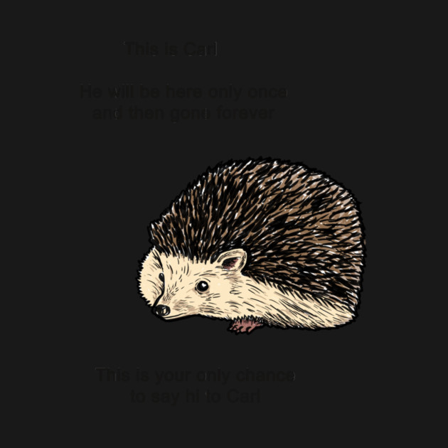 Carl The Hedgehog Meme by dumbshirts