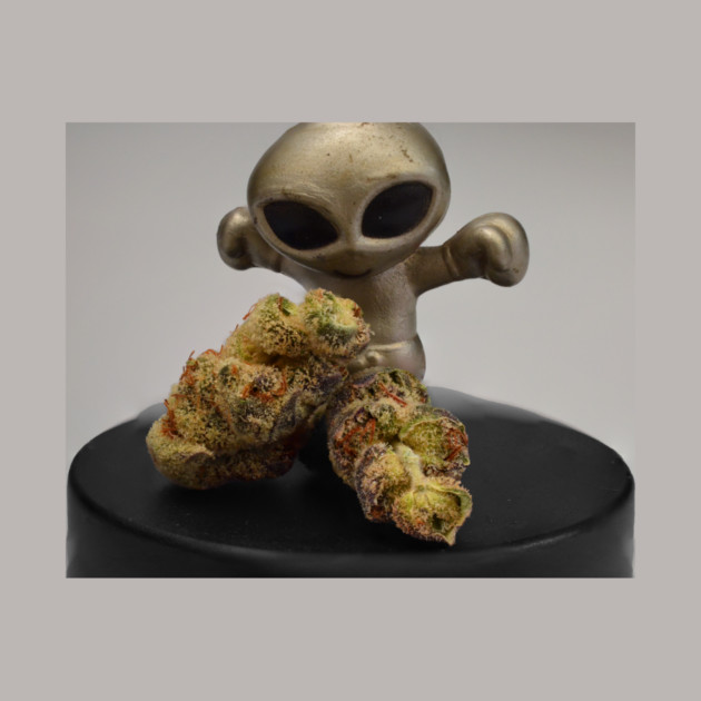 Alien Knockout! - Weed Design by MrGreenGenes420