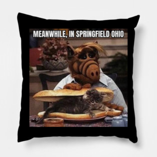 Illegal Immigrants Eating the Pets of the People that Live There Pillow