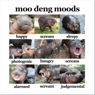 Moo Deng Moods Posters and Art