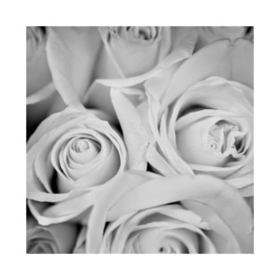 White Roses For The Bride T-Shirt