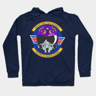 Pilot Hoodie