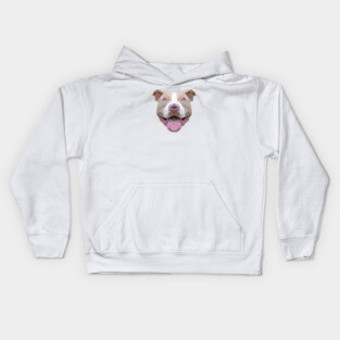 Pitbull Kids Hoodie