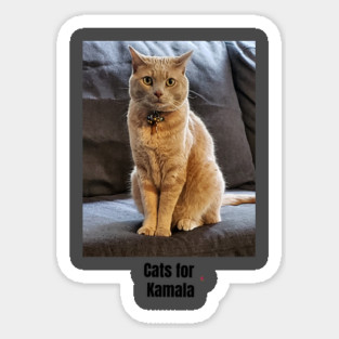 Cats for Kamala Sticker
