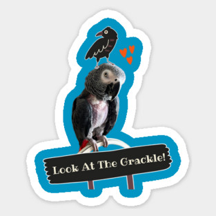 Einstein Parrot Look at the Grackle! Sticker