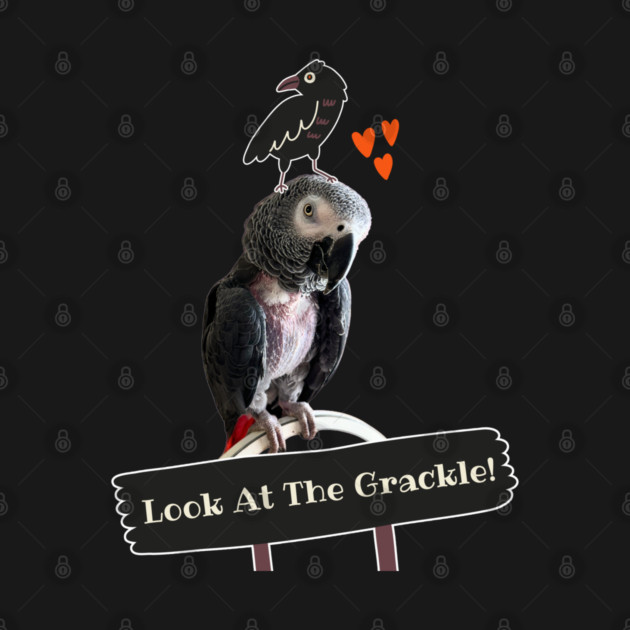 Einstein Parrot Look at the Grackle! by Einstein Parrot