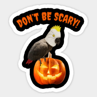 Einstein Parrot / Don't Be Scary Magnet