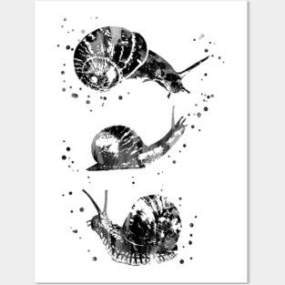 Snail Posters and Art