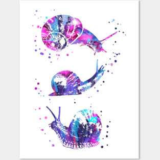 Snail Posters and Art