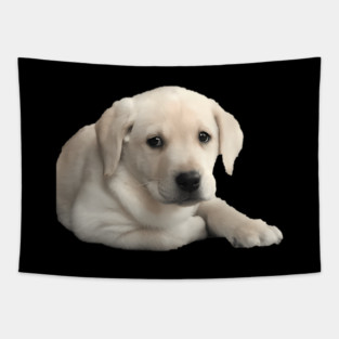 Adorable Yellow Lab Puppy Tapestry