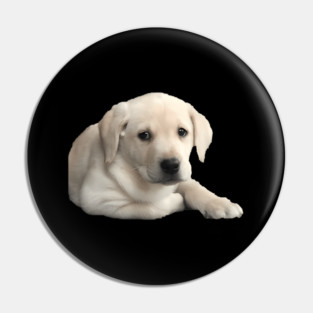 Adorable Yellow Lab Puppy Pin