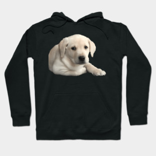 Adorable Yellow Lab Puppy Hoodie