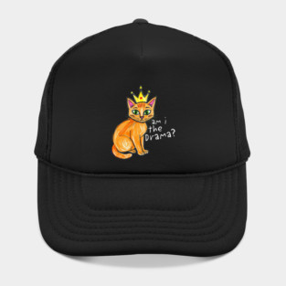 Am I the Drama cat Hat