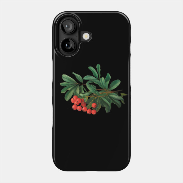 Red Berries with Glossy Green Leaves, Likely from a Plant or Shrub, Highlighting its Natural Beauty Phone Case by animegirlnft