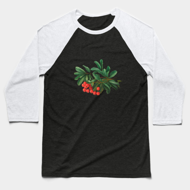 Red Berries with Glossy Green Leaves, Likely from a Plant or Shrub, Highlighting its Natural Beauty Baseball T-Shirt by animegirlnft