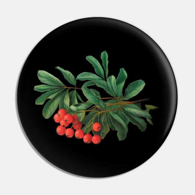Red Berries with Glossy Green Leaves, Likely from a Plant or Shrub, Highlighting its Natural Beauty Pin by animegirlnft