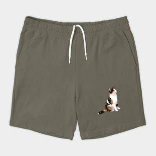 Adorable Calico Cat Portrait Shorts