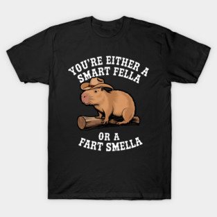 You're Either A Smart Fella Or Fart Smella Funny T-Shirt