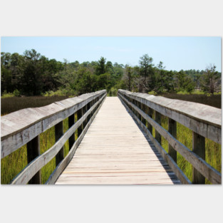 Boardwalk Across Salt Marshes Posters and Art