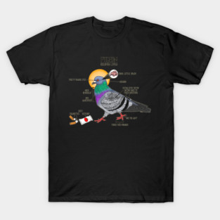Pigeon[ometry] T-Shirt