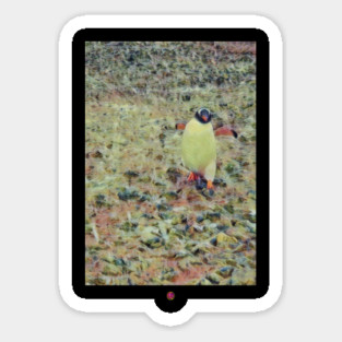 Antarctica penguin  walk Sticker
