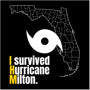 Hurricane milton Posters and Art
