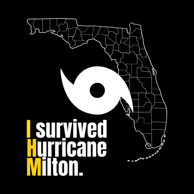 Hurricane milton by hix