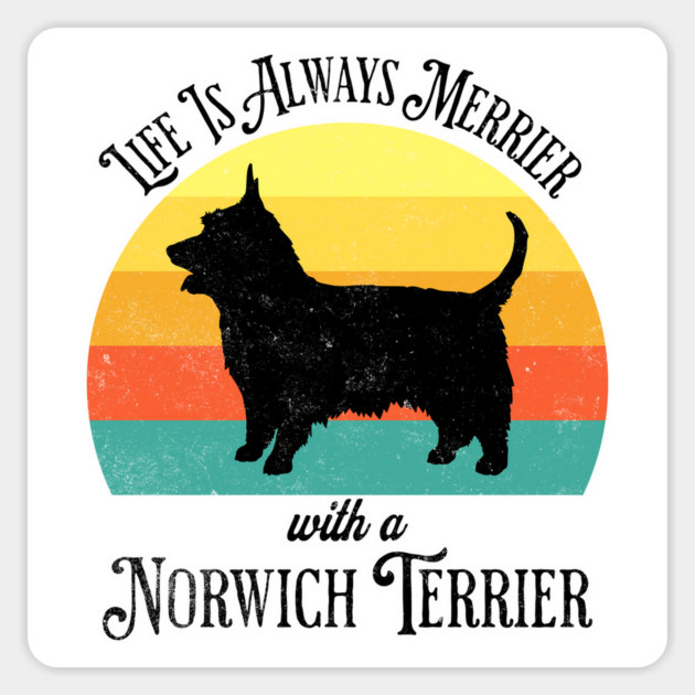Life Is Always Merrier With A Norwich Terrier sunset design Magnet by Luxinda