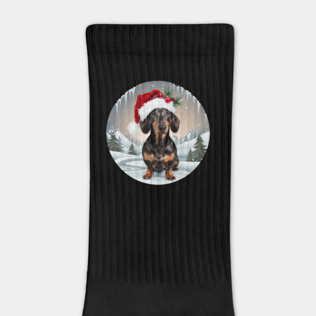 Christmas dachshund by Jo Palmer