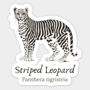 Striped Leopard - Cryptozoology - Retro & Fun Magnet
