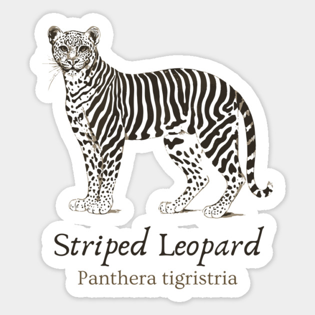 Striped Leopard - Cryptozoology - Retro & Fun Magnet by TuncGK