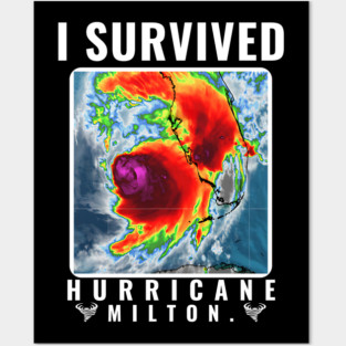 I Survived Hurricane Milton Posters and Art