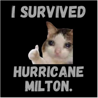 I survived hurricane milton Posters and Art