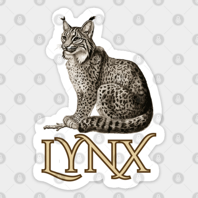 Wild Lynx - 19th Century Zoological Drawing Style Sticker by TuncGK